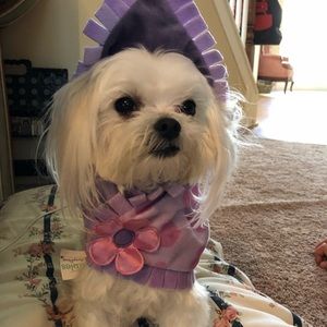 Meet your Posher, Jo